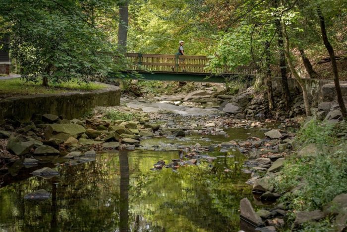 Potomac Overlook Trail Map Fall In Love With Walkarlington's Favorite Trails | Walkarlington